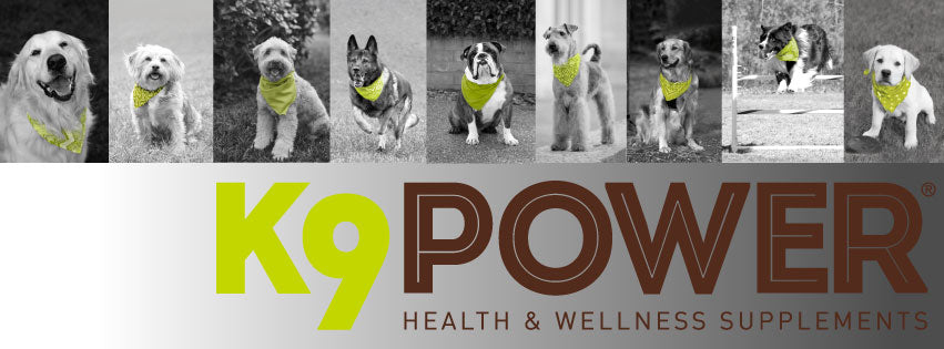 K9 Power Product Updates